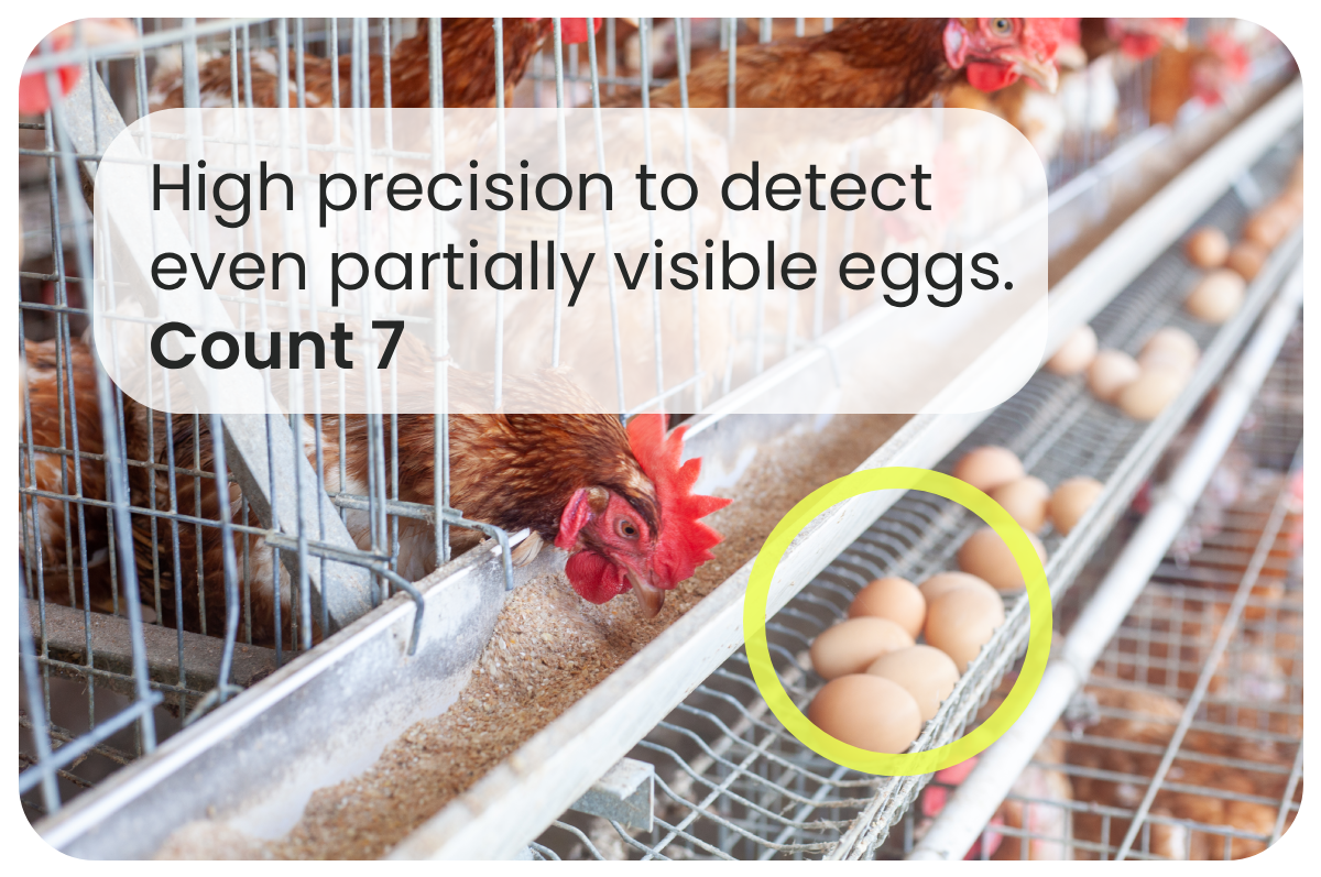 Eggsens egg counting precision
